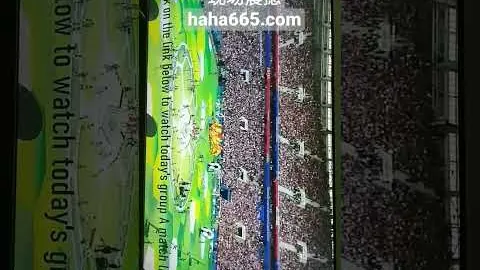 楊政力挺國籃無罪：恪守正道，與家長同心創業